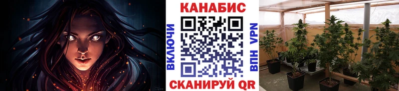 Где найти наркотики Каневская ГАШ  Бошки Шишки  Alpha PVP  Меф 