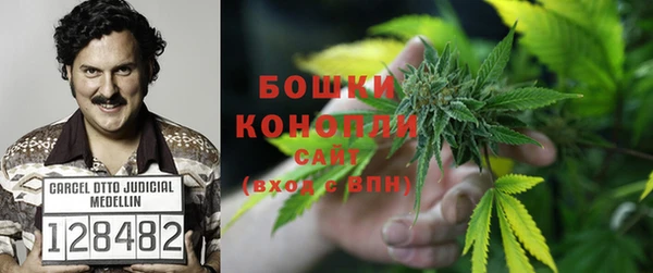 ешки Аркадак