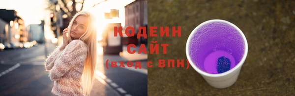 спиды Арсеньев