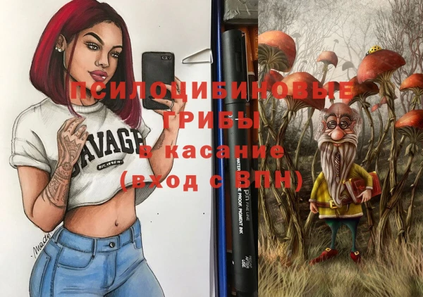 ешки Аркадак