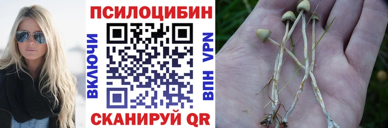 сколько стоит  Каневская  Галлюциногенные грибы GOLDEN TEACHER 
